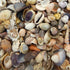 1 Kg small seashells for sale
